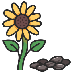 sunflower png icon