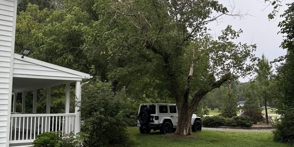 5EB67064-A6C6-4D50-B6E9-1D4C3235DE5D