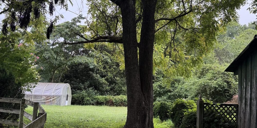 open grassy field view